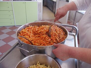 istituto trinitari medea